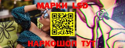 индика Кингисепп