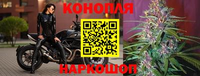 ГАЛЛЮЦИНОГЕННЫЕ ГРИБЫ Кинель