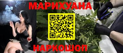 индика Кингисепп
