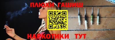 индика Кингисепп