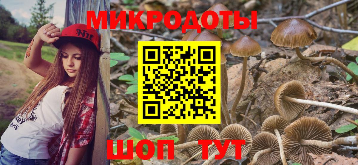 Галлюциногенные грибы Psilocybine cubensis  Псилоцибиновые грибы Cubensis  Ярцево  Вход с VPN 