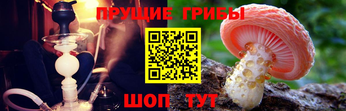 Галлюциногенные грибы Cubensis Ярцево